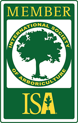 ISA Member logo